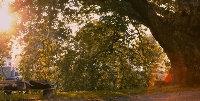 Screen Shot 2013-11-12 at 11.06.32 PM Screen Shot 2013-11-12 at 11.06.32 PM