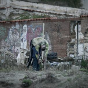 dogman-screencomment2-jpg