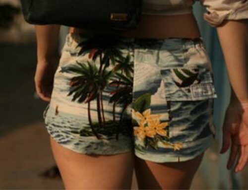 Brazilian Cinema nineties and beyond