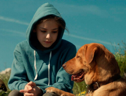 CANNES – WHITE GOD WINS UCR PRIZE (AND DESERVEDLY SO)